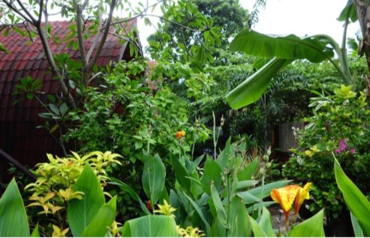Banana Leaf Bungalow Gili Trawangan Exterior foto